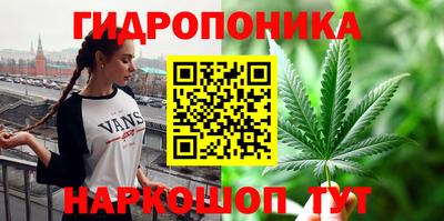 a pvp Ирбит