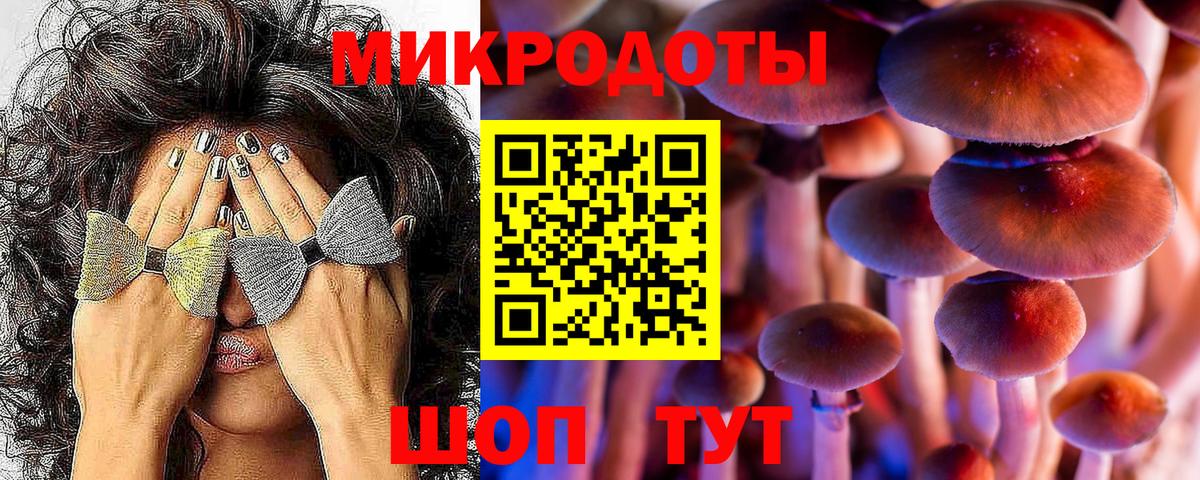 купить  сайты  Галлюциногенные грибы Magic Shrooms  Вход с VPN  Лесозаводск  Галлюциногенные грибы прущие грибы 