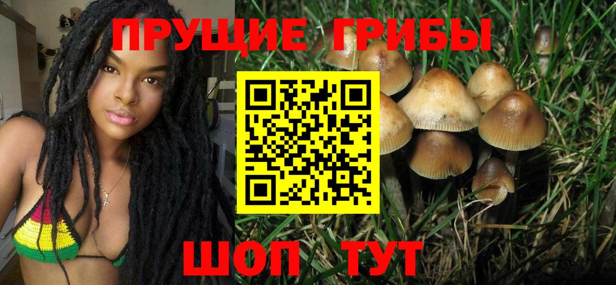 Псилоцибиновые грибы GOLDEN TEACHER Лесозаводск